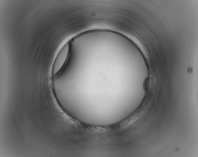 X0000096970815200802291120