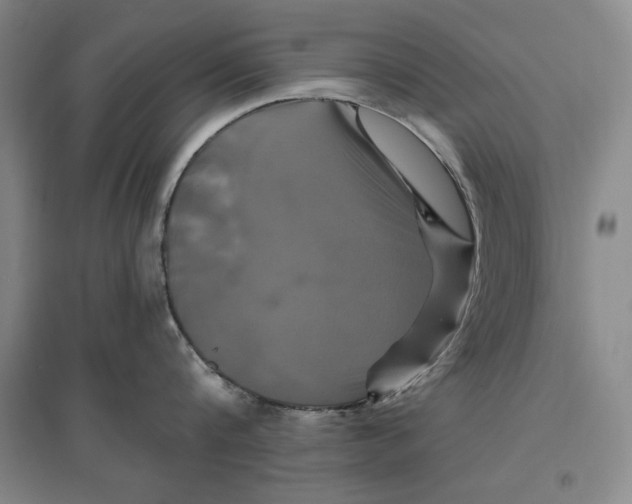 X0000096970816200802291120