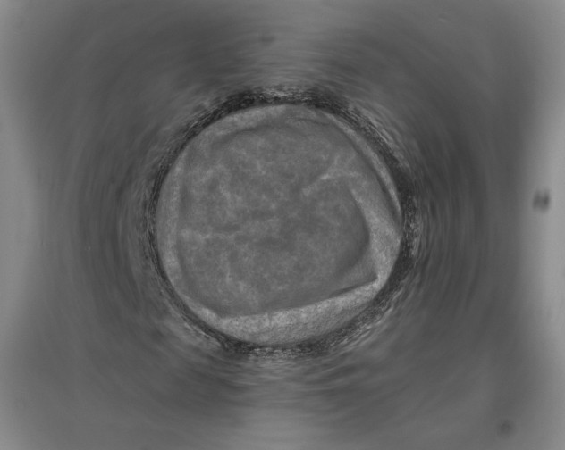 X0000096970817200802291119