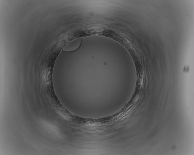 X0000096970818200802291119