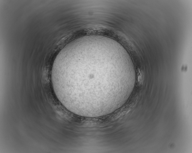 X0000096970819200802291119