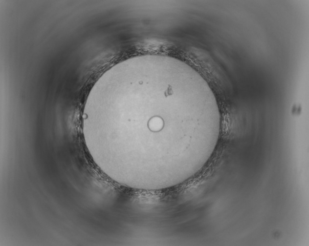 X0000096970820200802291119