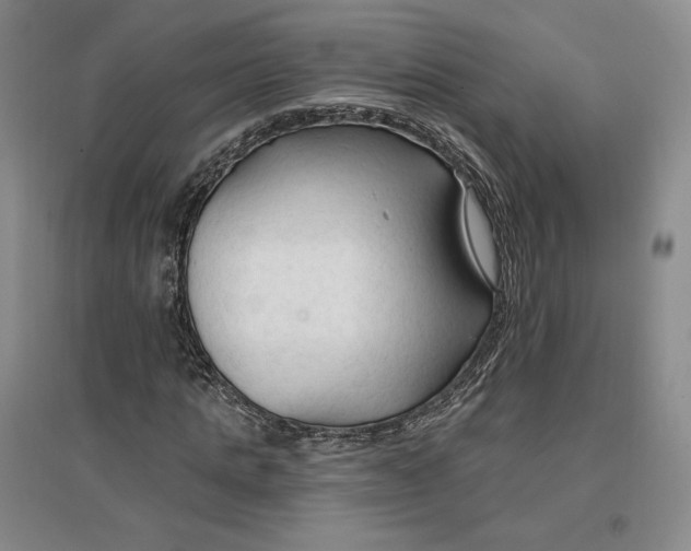 X0000096970821200802291119