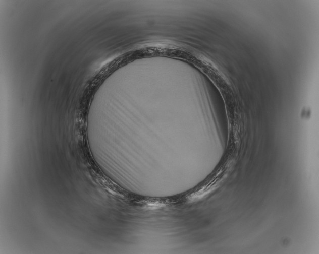 X0000096970822200802291119