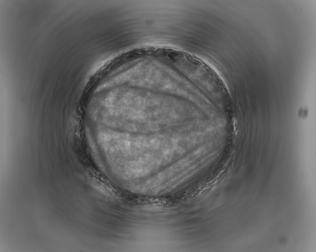 X0000096970823200802291119