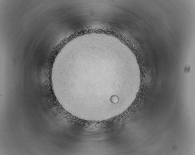 X0000096970824200802291119