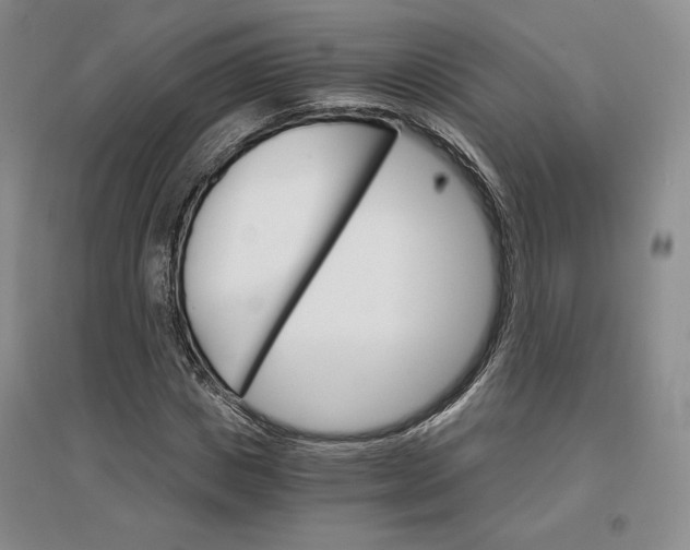 X0000096970825200802291119