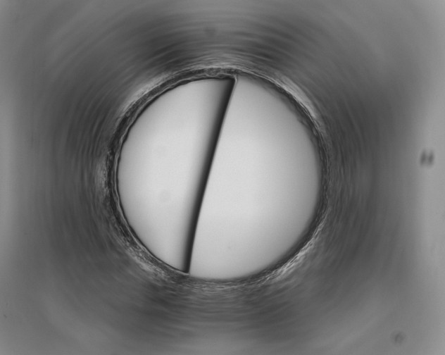 X0000096970826200802291119