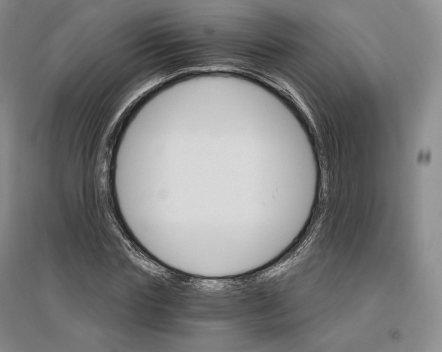 X0000096970827200802291119