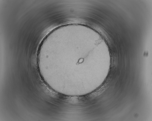 X0000096970828200802291119