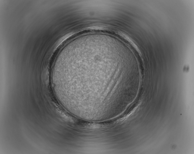 X0000096970829200802291119