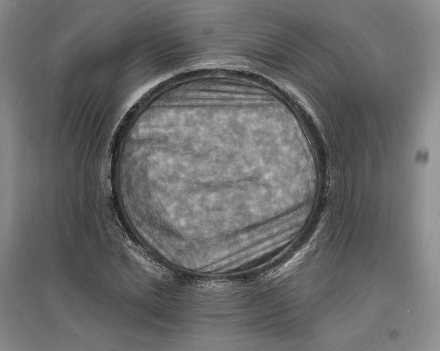 X0000096970830200802291119