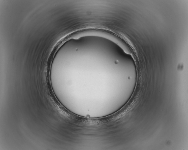 X0000096970831200802291119