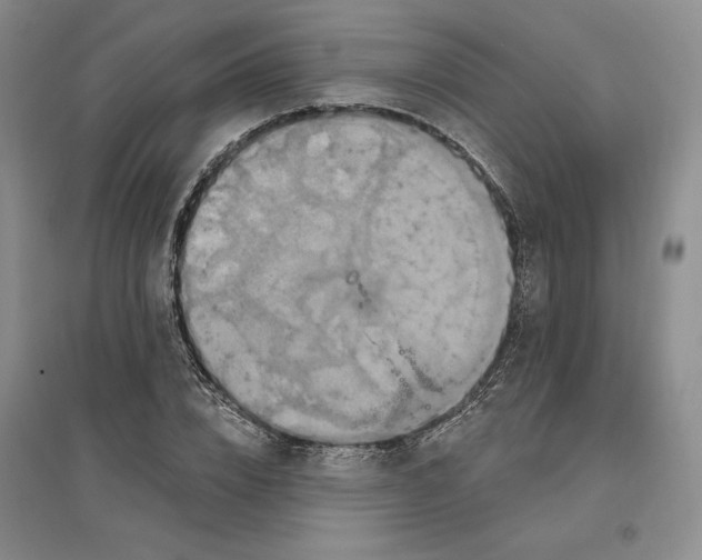 X0000096970832200802291119