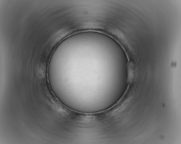 X0000096970833200802291119