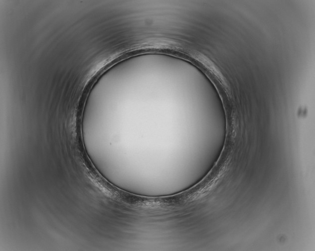 X0000096970834200802291119