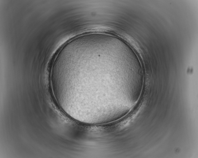 X0000096970835200802291119