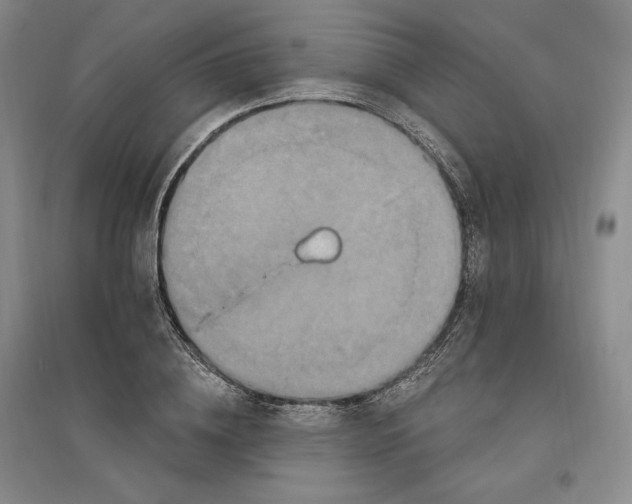 X0000096970836200802291119