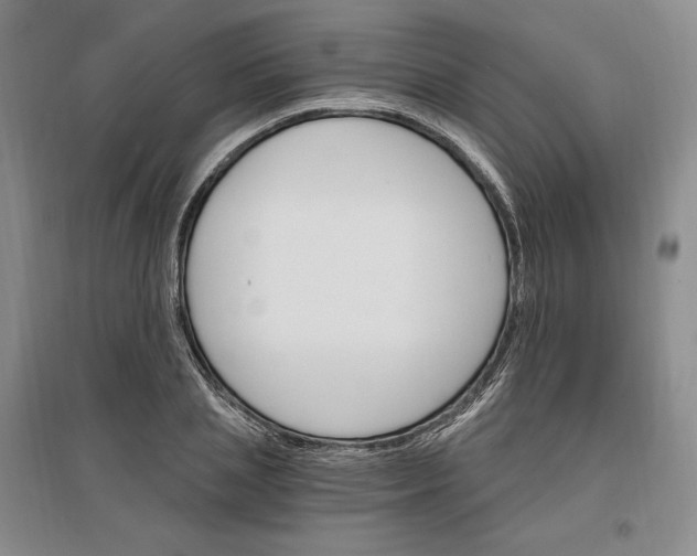 X0000096970837200802291120