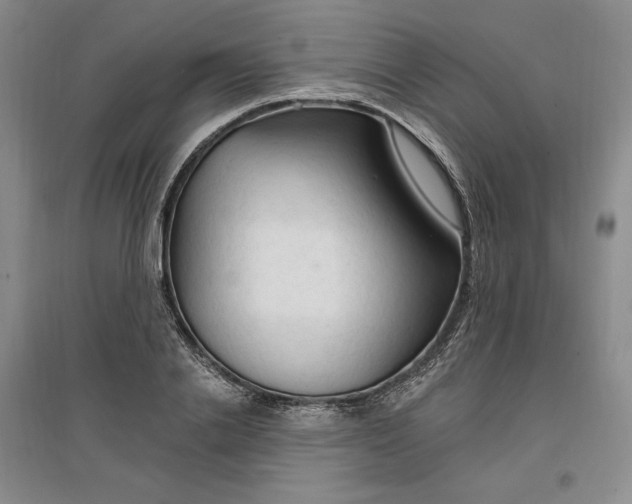 X0000096970838200802291120