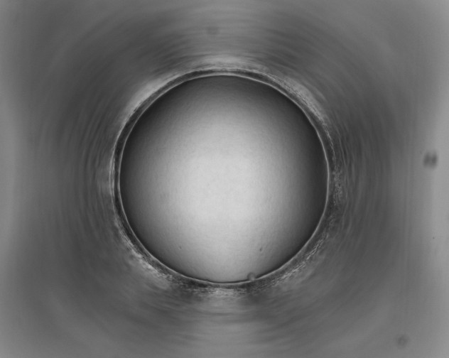 X0000096970839200802291120