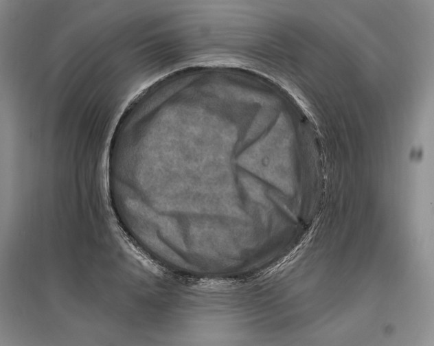 X0000096970840200802291120