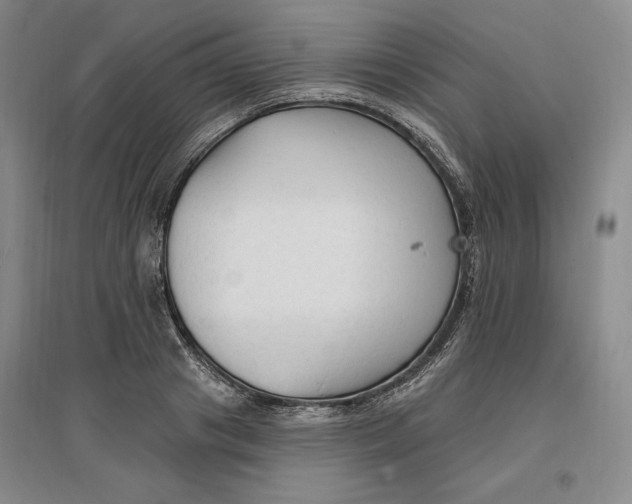 X0000096970841200802291120