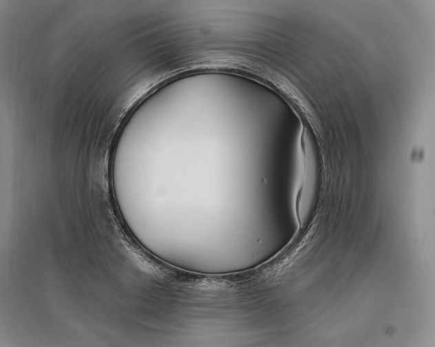 X0000096970842200802291120