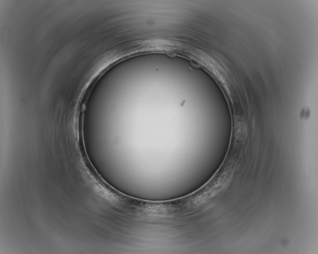 X0000096970843200802291120