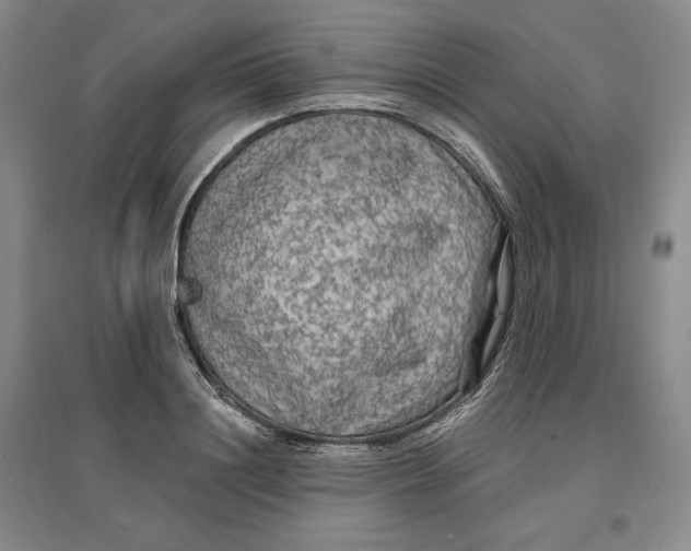 X0000096970844200802291120