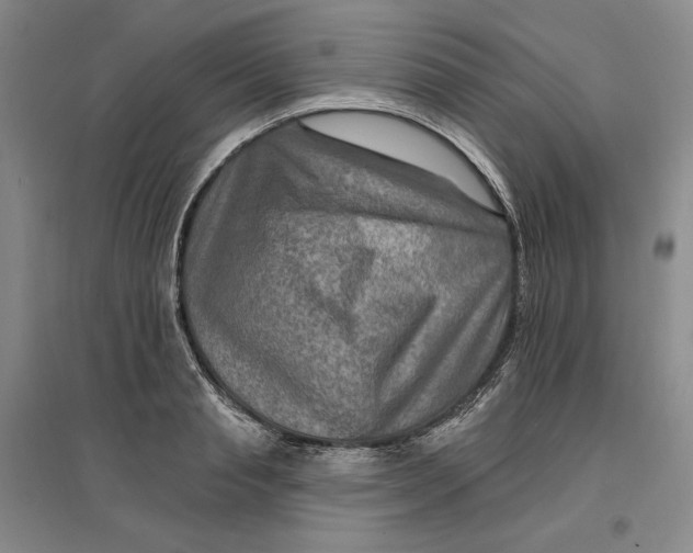 X0000096970845200802291120