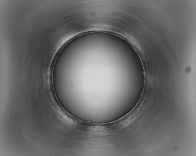 X0000096970846200802291120