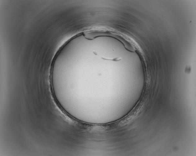 X0000096970847200802291120