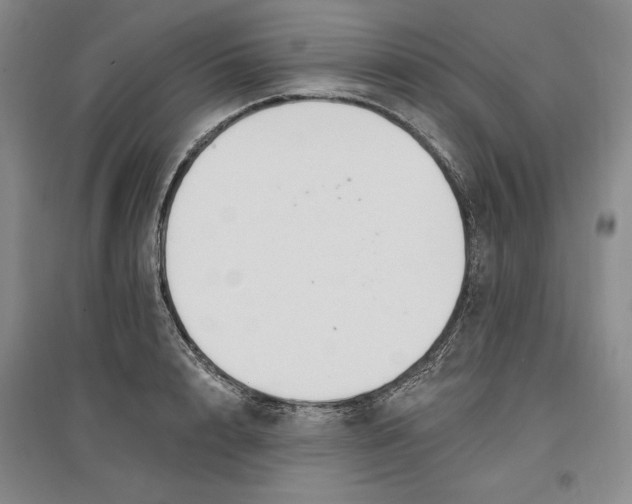 X0000096970848200802291120