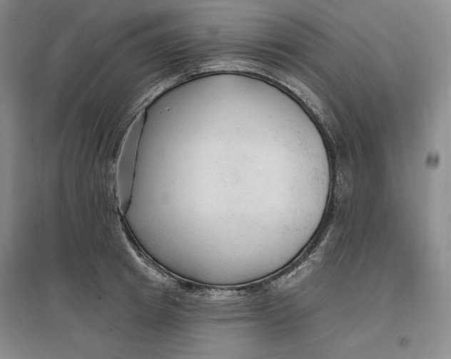 X0000096970849200802291120