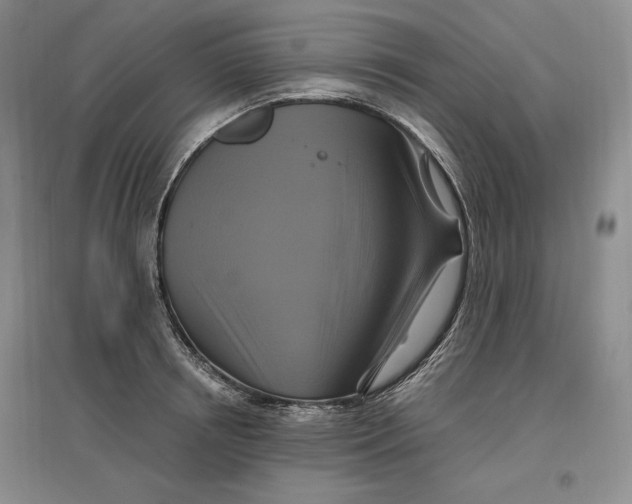 X0000096970850200802291120