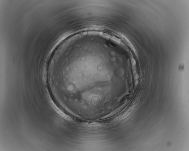 X0000096970851200802291120