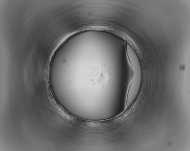 X0000096970852200802291120