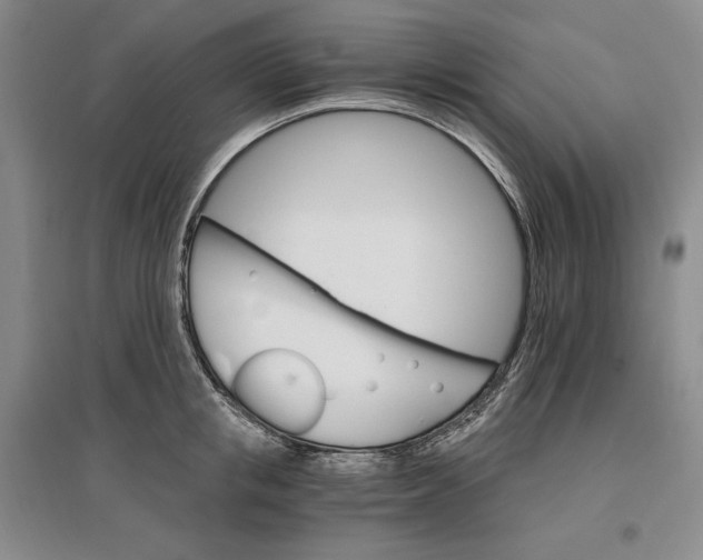 X0000096970853200802291120