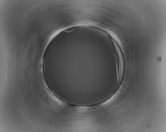 X0000096970854200802291120