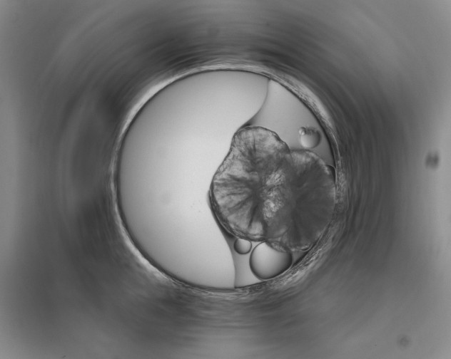 X0000096970855200802291120