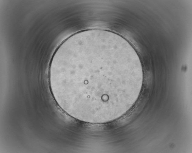 X0000096970856200802291120