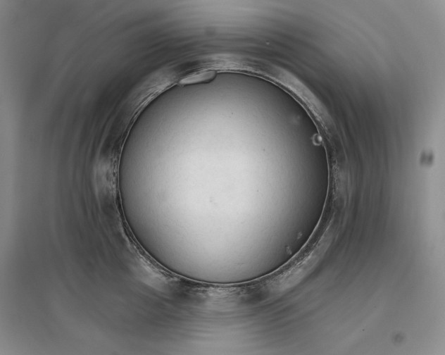 X0000096970857200802291120