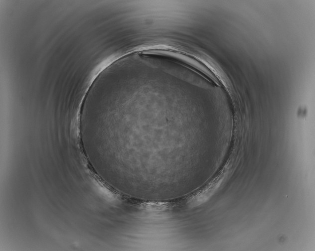 X0000096970858200802291120