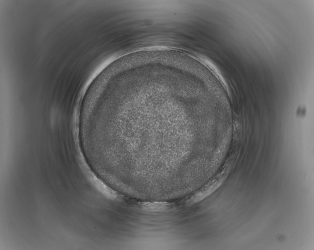 X0000096970859200802291120