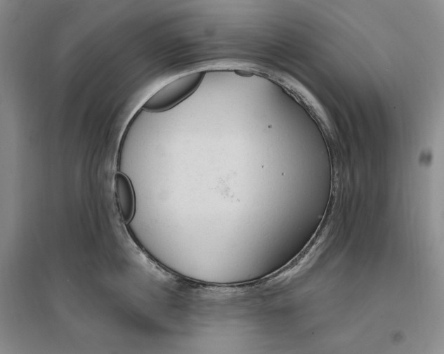 X0000096970860200802291120