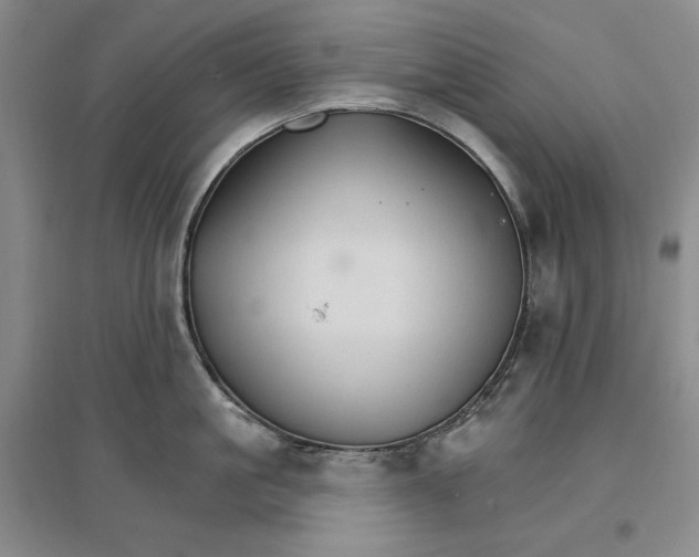 X0000096970861200802291120