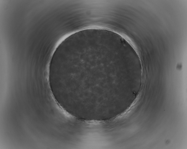 X0000096970862200802291120