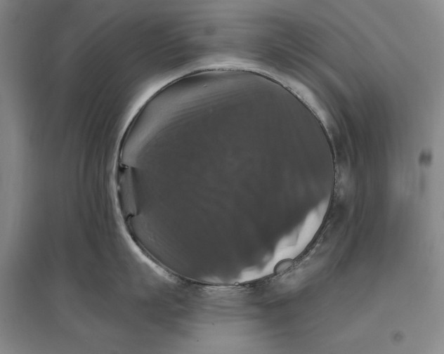 X0000096970863200802291120