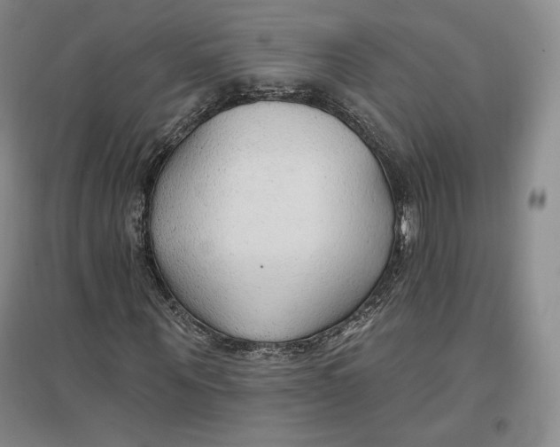 X0000096970867200802291119